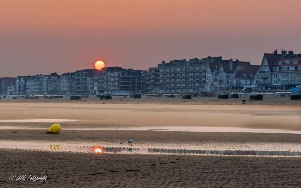 Apartment Strandvakantieappartement Zilverstrand - Met Binnenzwembad! *